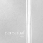 Perpetual